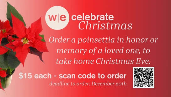 poinsettia orders